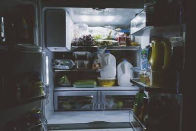 5 продуктов, которые должны быть в холодильнике всегда: советы опытных хозяек - skuke.net