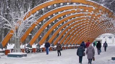 Москвичам рассказали о зимней программе выставок в городских парках - vm.ru - Москва - Москва