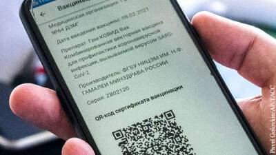 Хватит ли России электроэнергии на всех соседей - vz.ru - Россия