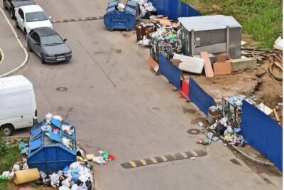 Регоператор рассказал о вывозе мусора из дворов в Мурино - abnews.ru - Ленинградская обл. - Мурино