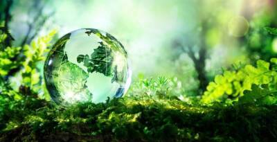Топ-менеджер РСХБ: в будущем клиент будет сотрудничать только с ESG-компаниями - smartmoney.one