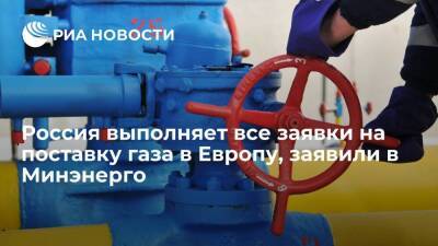 Павел Сорокин - Замминистра энергетики Сорокин: Россия выполняет все заявки на поставку газа в Европу - smartmoney.one - Россия - Европа