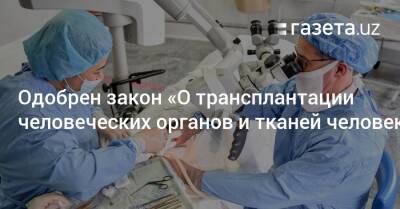 Одобрен закон «О трансплантации органов и тканей человека» - gazeta.uz - Узбекистан