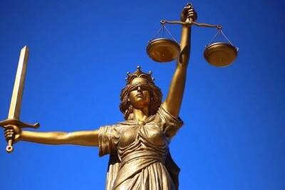Брянца осудили за махинации с чернобыльскими выплатами почти на 12 млн рублей - mk.ru - Брянск - Брянская обл.