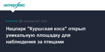 Нацпарк "Куршская коса" открыл уникальную площадку для наблюдения за птицами - interfax.ru - Москва - Калининградская обл.