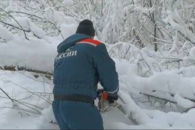 Спасатели признались, сколько детей сидят без света в Новгородской области - mk.ru - Россия - Новгородская обл. - Великий Новгород