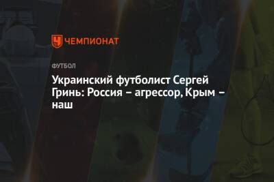 Украинский - Украинский футболист Сергей Гринь: Россия — агрессор, Крым — наш - championat.com - Россия - Украина - Киев - Крым - Донецк - Луганск - г. Александрия