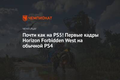 Почти как на PS5! Первые кадры Horizon Forbidden West на обычной PS4 - championat.com