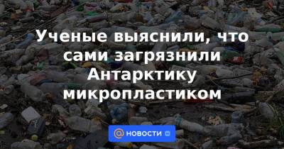 Ученые выяснили, что сами загрязнили Антарктику микропластиком - news.mail.ru - Швейцария - Антарктида