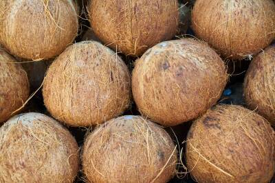 Чем полезна мякоть кокоса и кокосовое молоко? Разбираемся со специалистом - grodnonews.by - Белоруссия