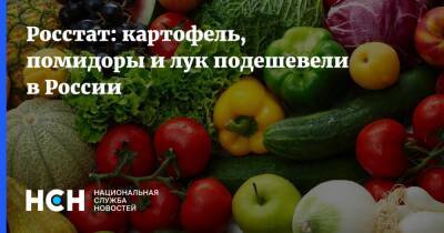 Росстат: картофель, помидоры и лук подешевели в России - nsn.fm - Россия