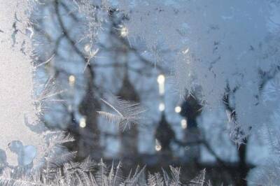 Вазир Мартазинов - Мороз - Точный прогноз погоды на Рождество в Украине озвучили синоптики - lenta.ua - Украина