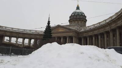 Петербуржцы предложили местным чиновникам самостоятельно убирать снег с городских улиц - inforeactor.ru