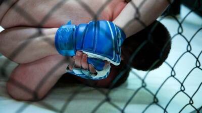 Бразильские политики подрались по правилам MMA из-за закрытого аквапарка - 5-tv.ru
