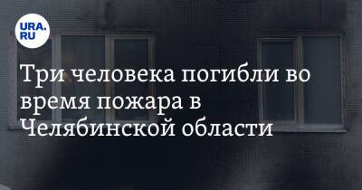 Три человека погибли во время пожара в Челябинской области - ura.news - Челябинская обл.
