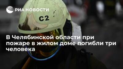 В Челябинской области при пожаре в многоэтажном жилом доме погибли три человека - ria.ru - Россия - Челябинская обл. - Челябинск - городское поселение Копейский