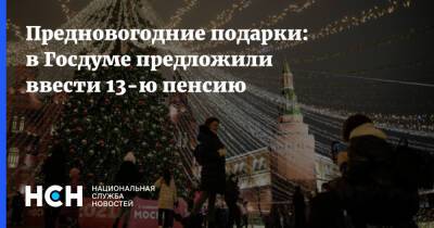 Владимир Путин - Предновогодние подарки: в Госдуме предложили ввести 13-ю пенсию - nsn.fm