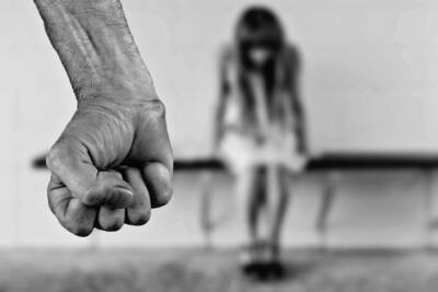 Воспитательница детского сада в Красноярске избивала детей и закрывала в туалете - mk.ru - Россия - Красноярский край - Красноярск