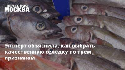 Эксперт объяснила, как выбрать качественную селедку по трем признакам - vm.ru - Москва
