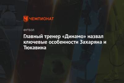 Константин Тюкавин - Арсен Захарян - Сандро Шварц - Главный тренер «Динамо» назвал ключевые особенности Захаряна и Тюкавина - championat.com - Москва