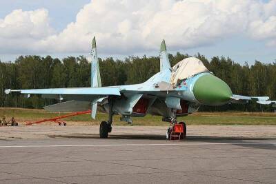 Российские истребители семейства Су-27/30 стали вторыми по популярности в мире - actualnews.org - Россия - США