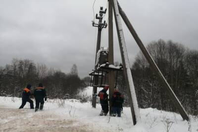 Под тяжестью мокрого снега в Новгородской области рвутся провода и падают деревья - mk.ru - Псковская обл. - Новгородская обл.