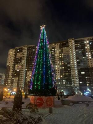 Дворы домов Setl Group в Петербурге украсили новогодними елями - abnews.ru - Санкт-Петербург - район Северной