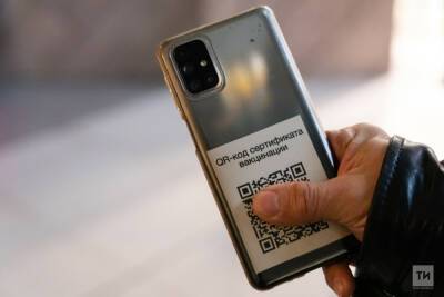 Ильсур Метшин - Отмену QR-кодов в Казанской Думе рассматривать не станут - kazan.mk.ru - Казань
