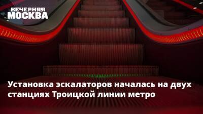Юрий Кравцов - Установка эскалаторов началась на двух станциях Троицкой линии метро - vm.ru - Москва - Москва