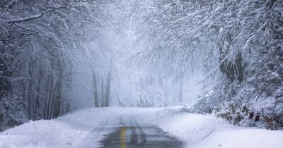 Вера Балабух - Мороз - Когда в Украине может начаться настоящая зима: прогноз метеорологического института - dsnews.ua - Украина - Киев