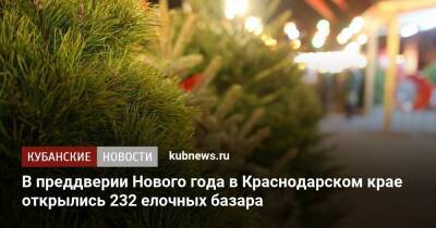 В преддверии Нового года в Краснодарском крае открылись 232 елочных базара - kubnews.ru - Россия - Краснодарский край - Саратовская обл. - Пермский край - Оренбургская обл. - Пензенская обл. - Торговля