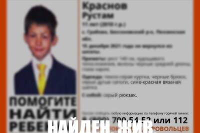 В Пензенской области нашли живым без вести пропавшего 11-летнего мальчика - mk.ru - Пензенская обл.