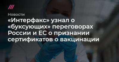 «Интерфакс» узнал о «буксующих» переговорах России и ЕС о признании сертификатов о вакцинации - tvrain.ru - Россия