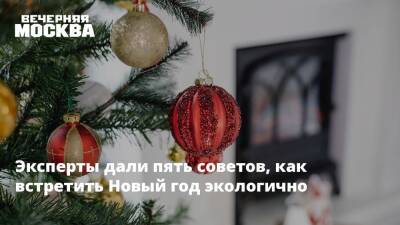 Эксперты дали пять советов, как встретить Новый год экологично - vm.ru - Экология