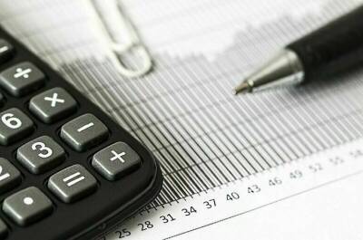 Финансовые омбудсмены раскроют информацию о своих доходах - pnp.ru - Россия