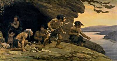 Огнем и камнем. Неандертальцы меняли экосистемы 125 тыс. лет назад, задолго до неолита - focus.ua - Украина - Германия - Голландия