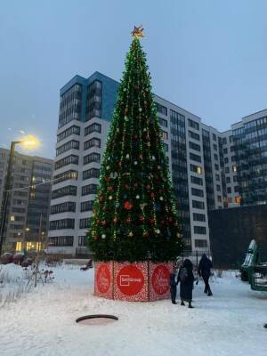 Дворы проектов Setl Group украсили новогодними елями - neva.today - Санкт-Петербург - р-н. Московский