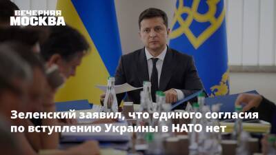 Владимир Зеленский - Йенс Столтенберг - Зеленский заявил, что единого согласия по вступлению Украины в НАТО нет - vm.ru - Украина - Киев