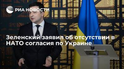 Владимир Зеленский - Йенс Столтенберг - Президент Зеленский: среди 30 стран-участниц НАТО нет согласия по членству Украины - ria.ru - Украина - Киев