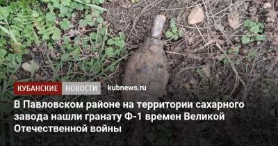 В Павловском районе на территории сахарного завода нашли гранату Ф-1 времен Великой Отечественной войны - kubnews.ru - Краснодарский край - Краснодар - Геленджик