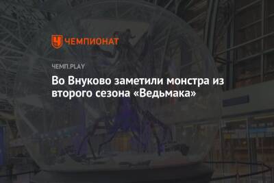 Во Внуково заметили монстра из второго сезона «Ведьмака» - championat.com - Москва - Россия - Санкт-Петербург