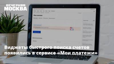 Владимир Новиков - Виджеты быстрого поиска счетов появились в сервисе «Мои платежи» - vm.ru