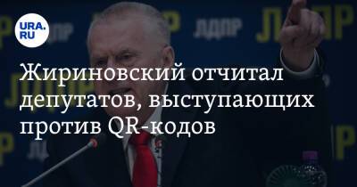 Владимир Жириновский - Жириновский отчитал депутатов, выступающих против QR-кодов. «Собой займитесь!» - ura.news - Россия