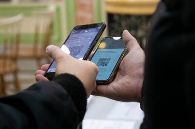 Госдума одобрила законы о QR-кодах для посещения общественных мест - znak.com - Россия