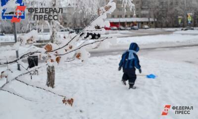 Жители Новгородской и Псковской областей вновь пострадали из-за непогоды - fedpress.ru - Псковская обл. - Новгородская обл. - Великий Новгород