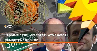 Владимир Зеленский - Европейский «квартет» отказался помогать Украине - ridus.ru - Россия - Украина - Италия - Германия - Франция - Испания - Брюссель