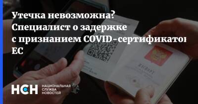 Арсений Щельцин - Утечка невозможна? Специалист о задержке с признанием COVID-сертификатов ЕС - nsn.fm - Россия