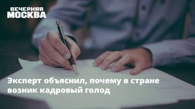 Эксперт объяснил, почему в стране возник кадровый голод - vm.ru - Москва - Красноярский край - Иркутская обл. - Московская обл. - Амурская обл. - Ростовская обл.