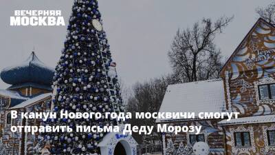 В канун Нового года москвичи смогут отправить письма Деду Морозу - vm.ru - Москва - Московская обл.