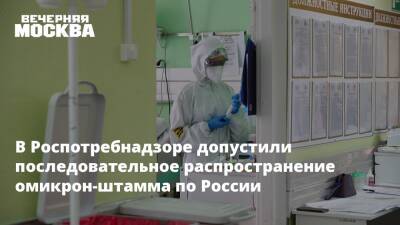 Татьяна Голикова - Анна Попова - В Роспотребнадзоре допустили последовательное распространение омикрон-штамма по России - vm.ru - Россия - Ростов-На-Дону - Юар